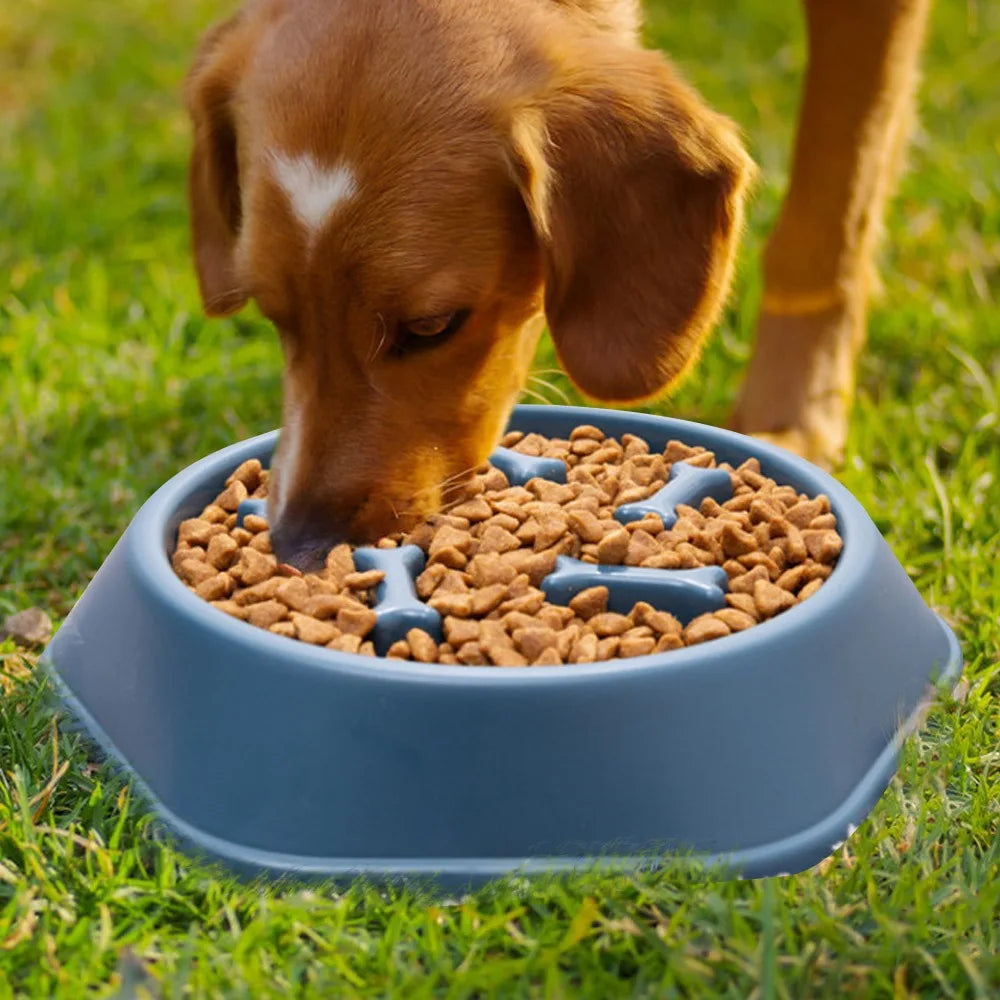 Pet Slow Food Bowl Cat/Dog Large Capacity Food Bowl to Relieve Anxiety, Anti-Choking, Non-Slip and Anti-Overturning Colored Bowl