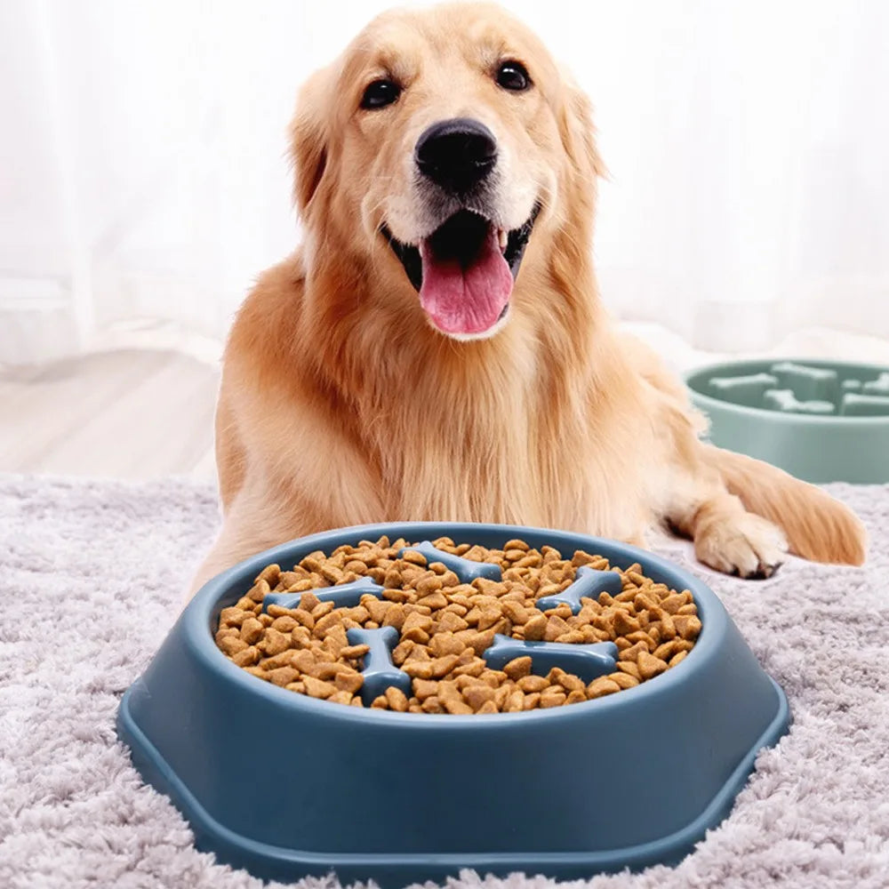 Pet Slow Food Bowl Cat/Dog Large Capacity Food Bowl to Relieve Anxiety, Anti-Choking, Non-Slip and Anti-Overturning Colored Bowl